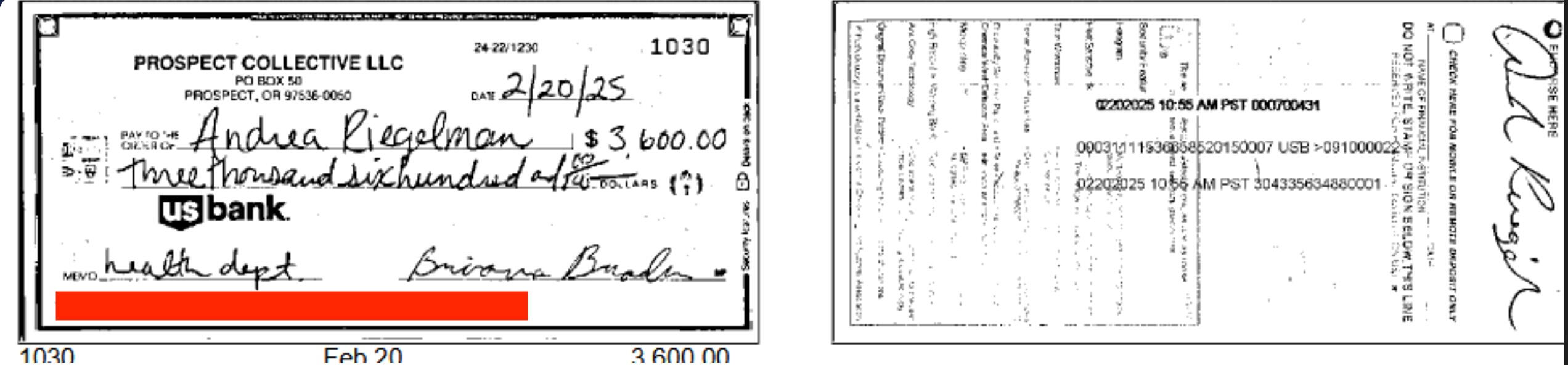 A check that was meant for paying the Historic Hotel's Health and Liquor license, but she cut the check to herself.